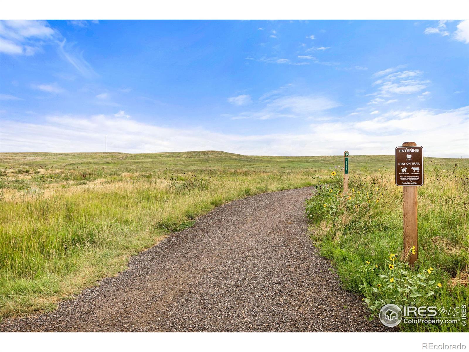 MLS Image #39 for 1416  begonia way,superior, Colorado