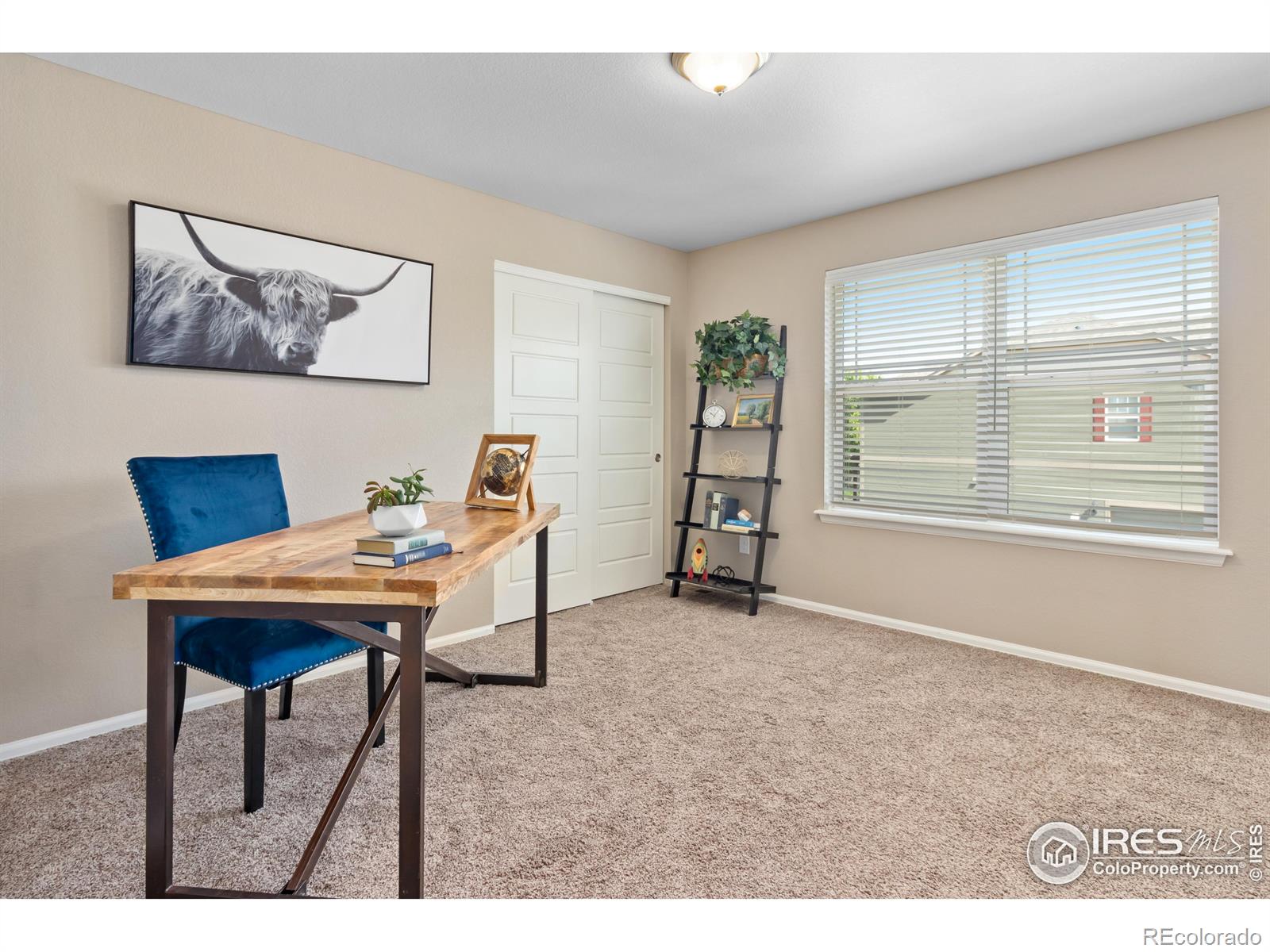 MLS Image #27 for 2154  winding drive,longmont, Colorado