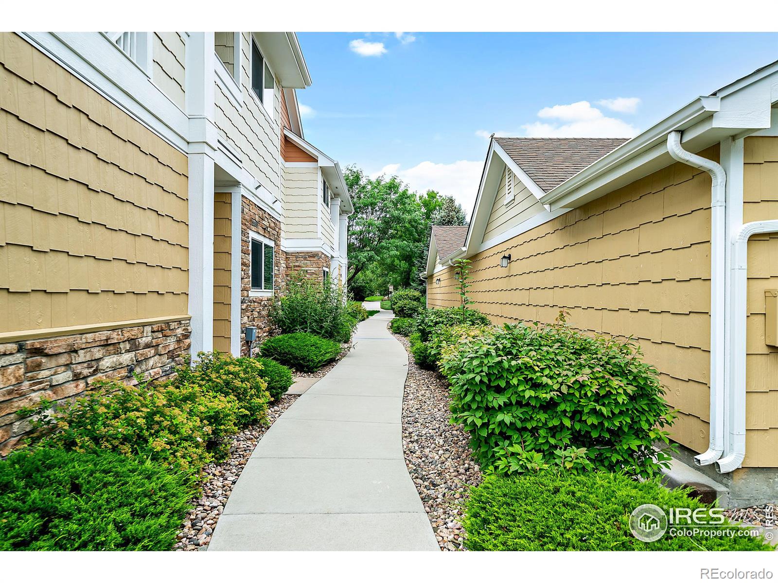 MLS Image #16 for 4625  hahns peak drive,loveland, Colorado