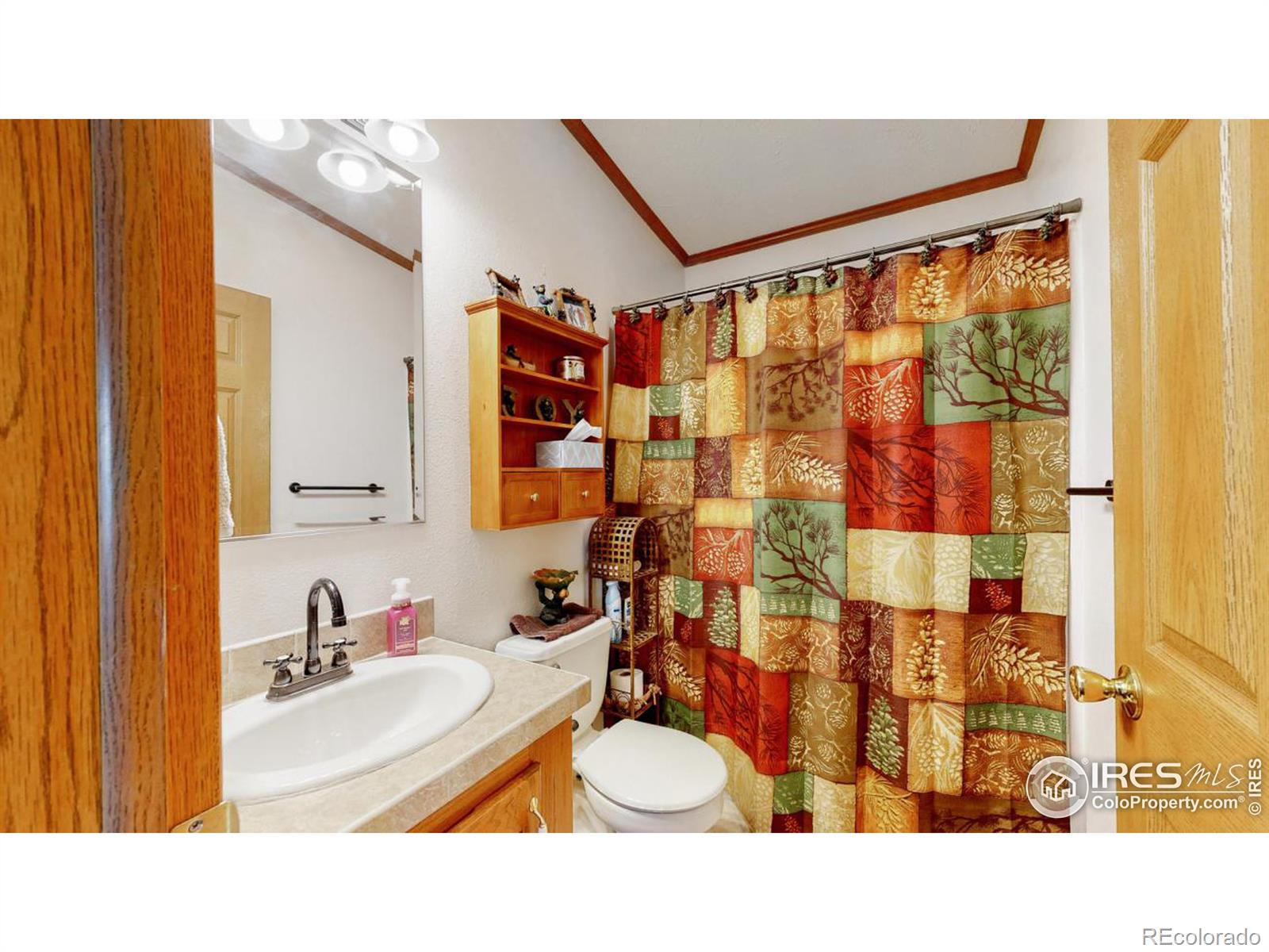 MLS Image #18 for 39730  county road 49 ,eaton, Colorado