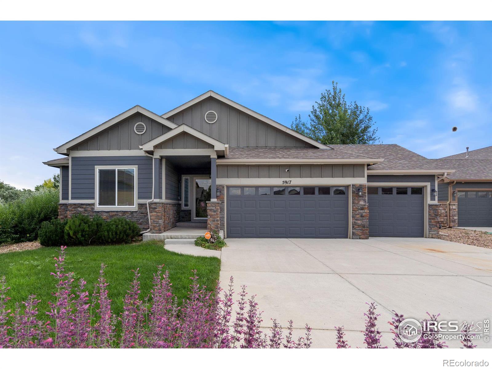 Report Image for 5917  Manistee Avenue,Loveland, Colorado