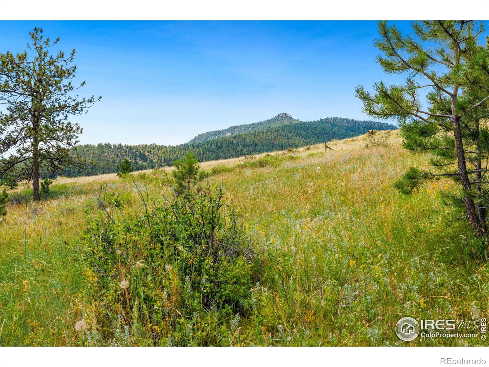 MLS Image #11 for 350  green ridge road,drake, Colorado