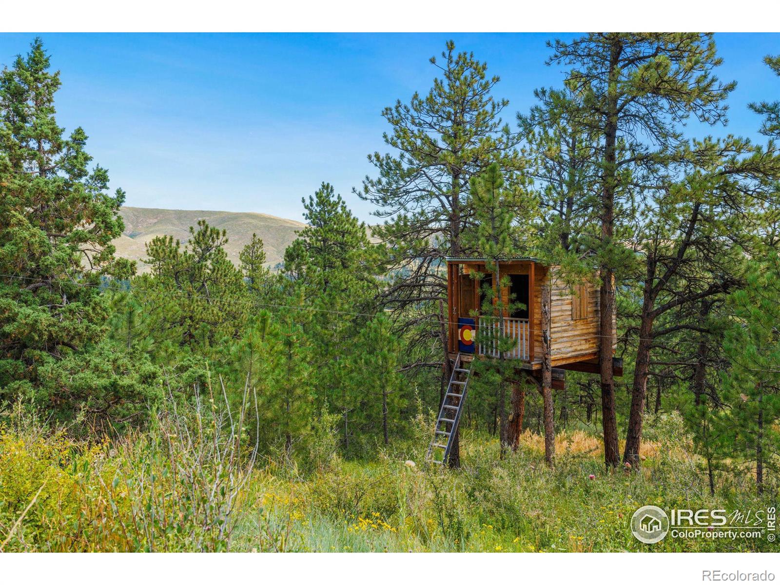 MLS Image #5 for 350  green ridge road,drake, Colorado