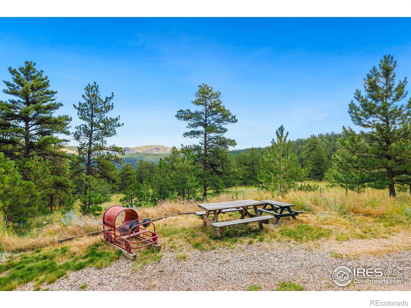 MLS Image #6 for 350  green ridge road,drake, Colorado