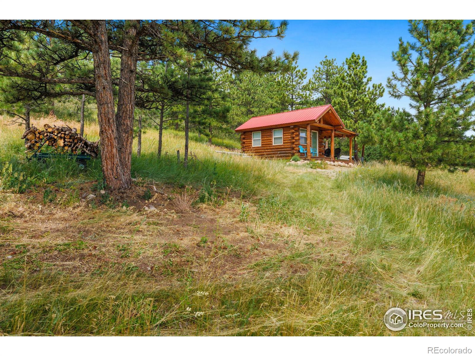 MLS Image #9 for 350  green ridge road,drake, Colorado