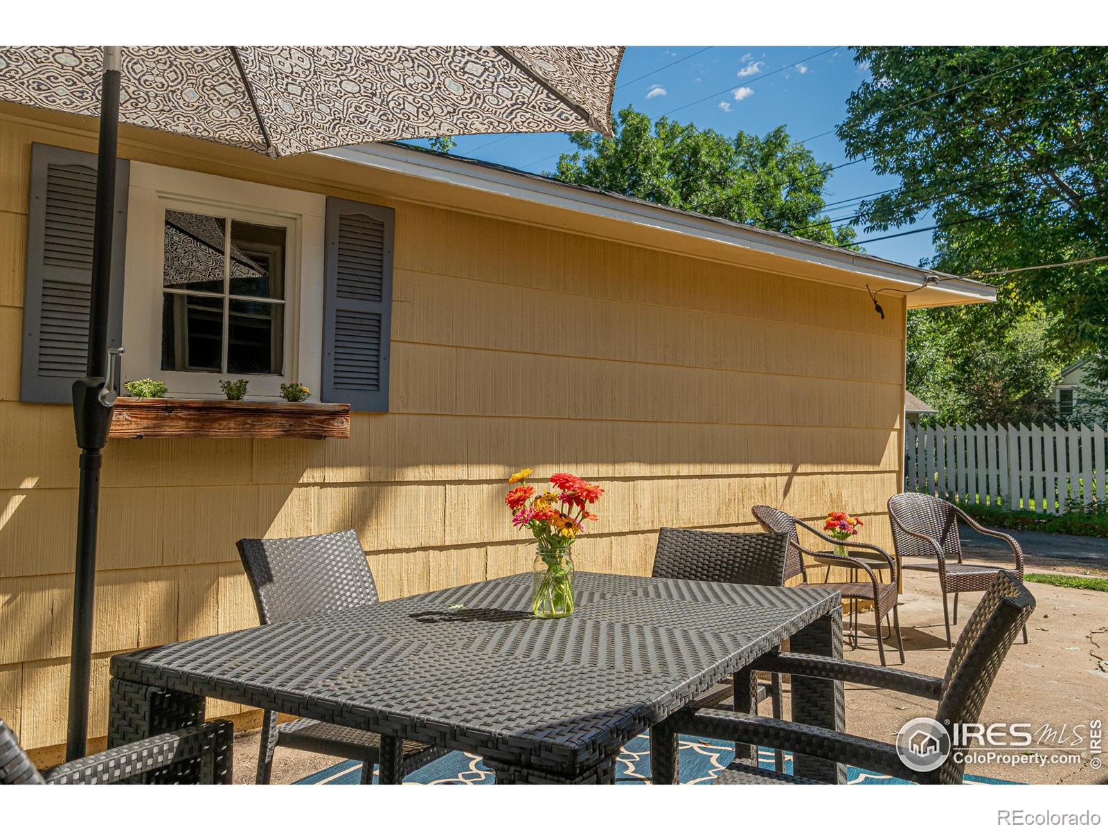 MLS Image #19 for 1116  6th avenue,longmont, Colorado