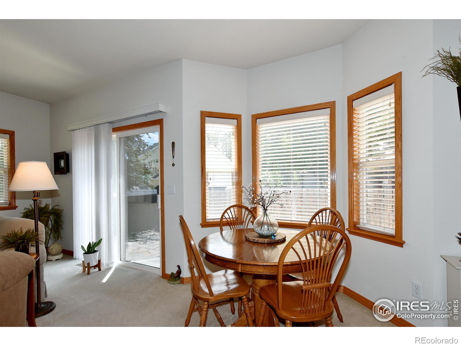 MLS Image #8 for 2107  bronson court,fort collins, Colorado