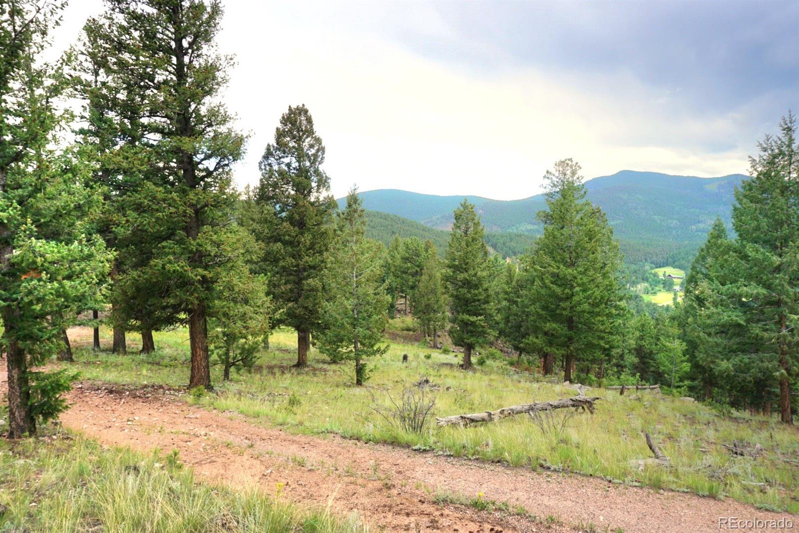 MLS Image #31 for 1533  hitchrack road,bailey, Colorado