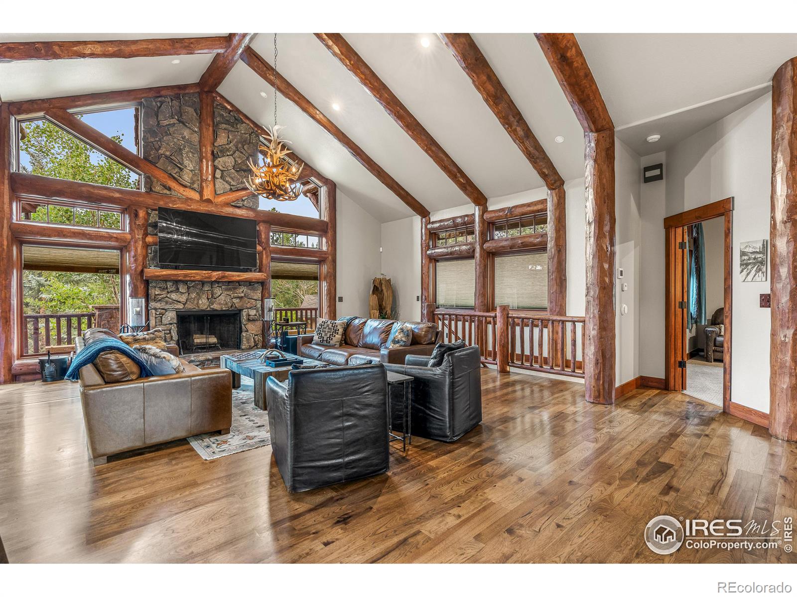 MLS Image #10 for 699  findley court,estes park, Colorado