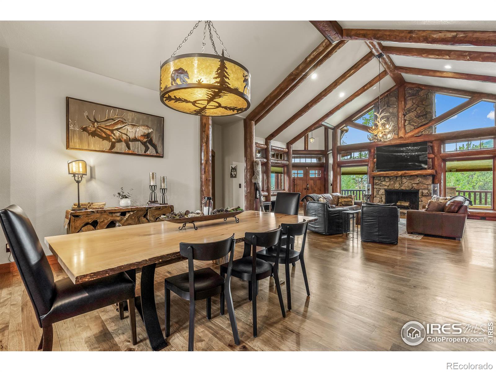 MLS Image #11 for 699  findley court,estes park, Colorado