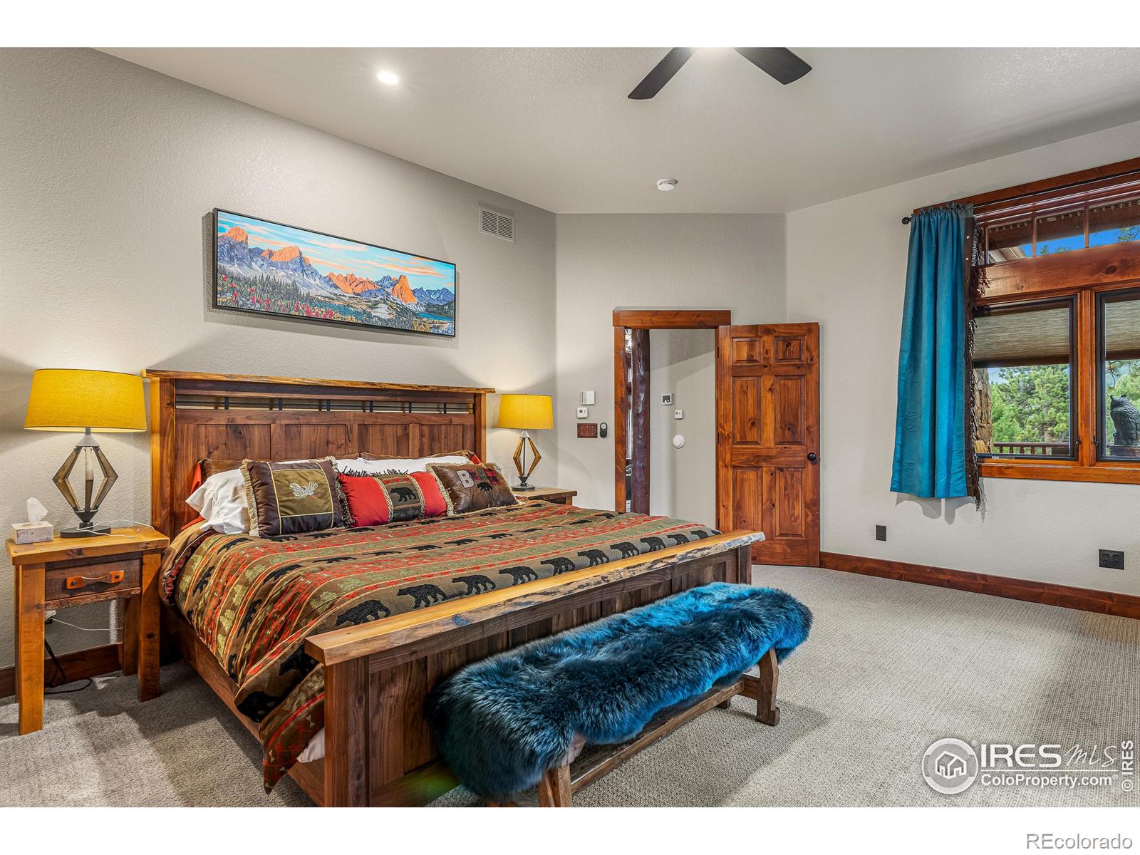 MLS Image #16 for 699  findley court,estes park, Colorado