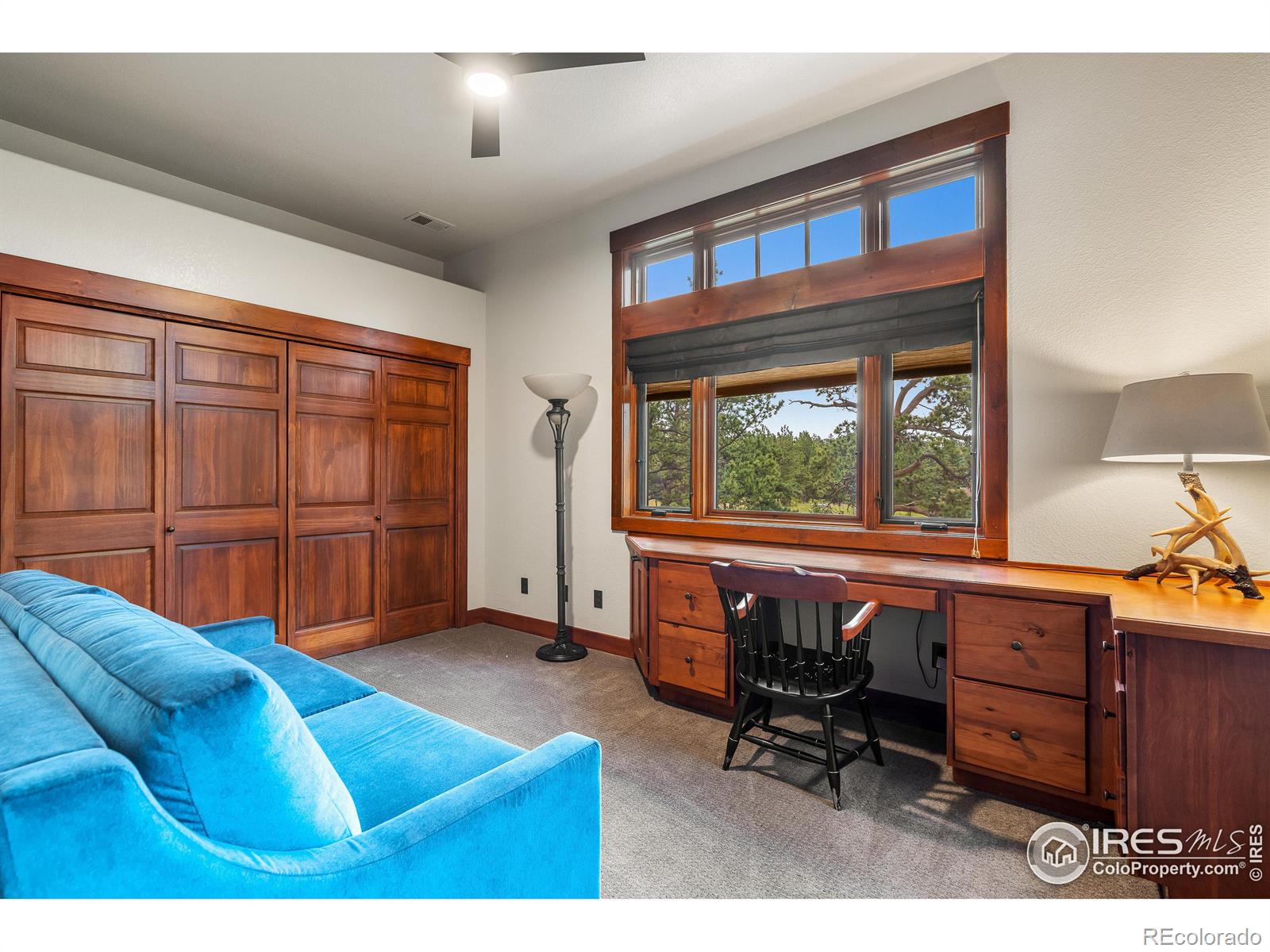 MLS Image #20 for 699  findley court,estes park, Colorado