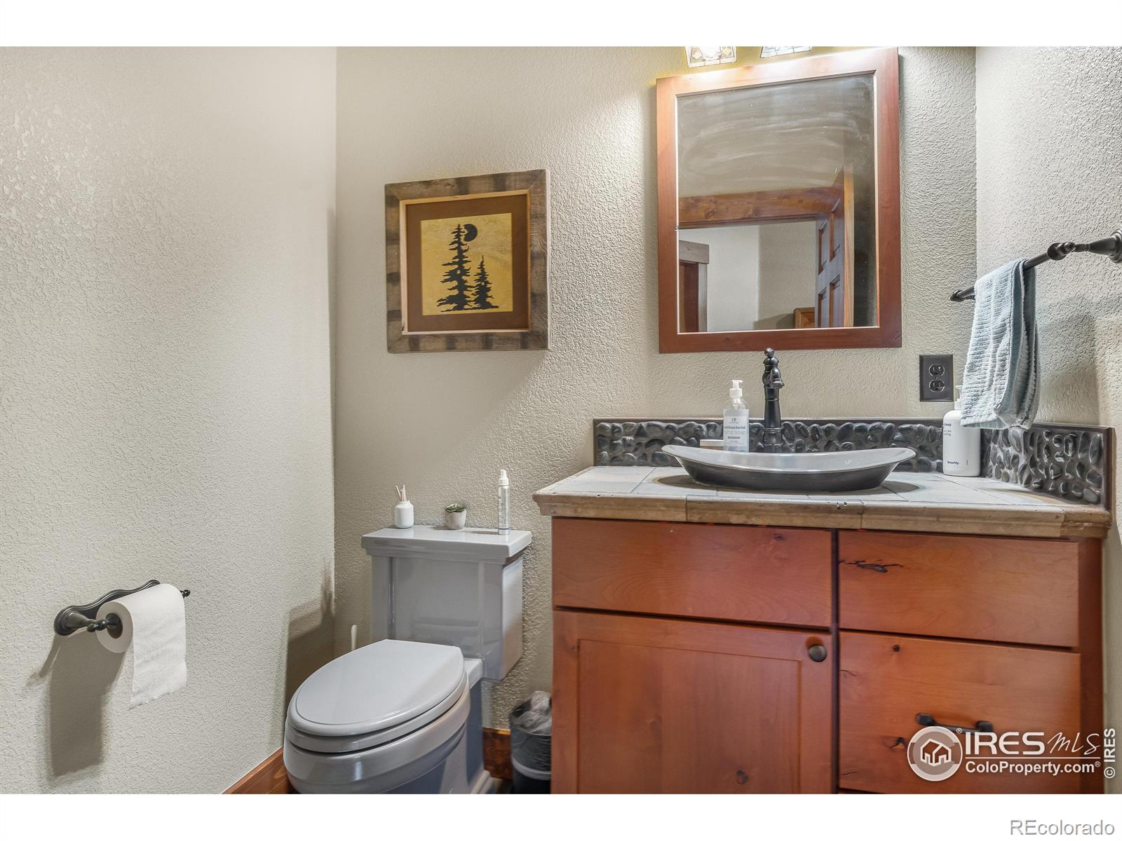 MLS Image #21 for 699  findley court,estes park, Colorado