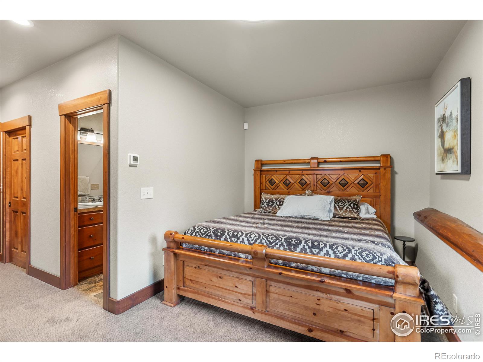 MLS Image #23 for 699  findley court,estes park, Colorado