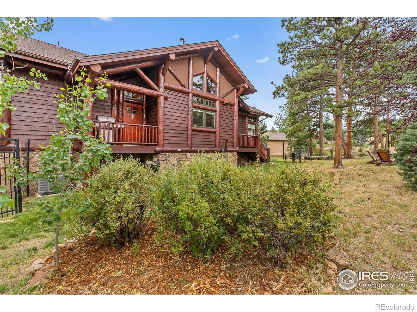 MLS Image #4 for 699  findley court,estes park, Colorado