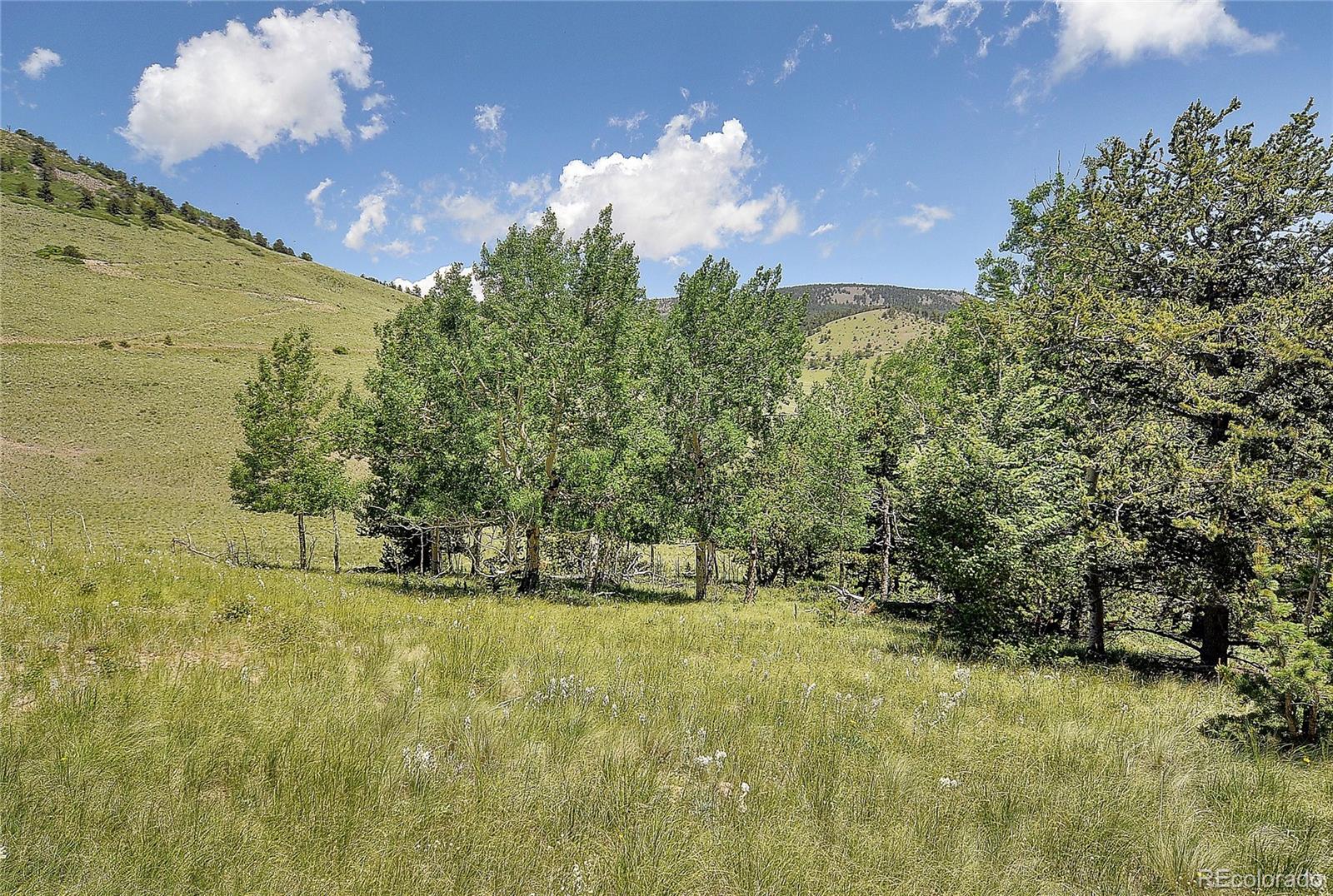 MLS Image #27 for 1194  nesterville road,cotopaxi, Colorado