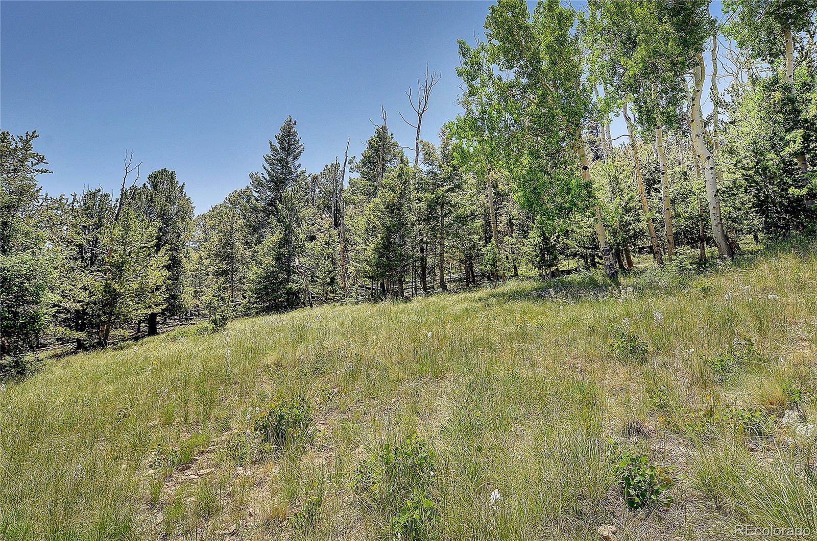 MLS Image #28 for 1194  nesterville road,cotopaxi, Colorado