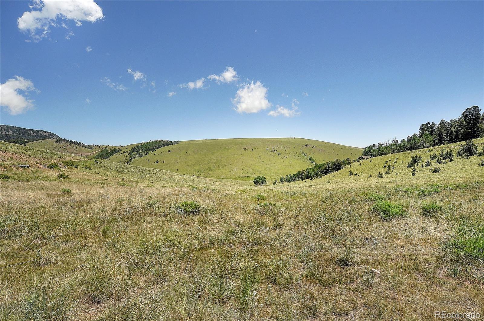 MLS Image #29 for 1194  nesterville road,cotopaxi, Colorado
