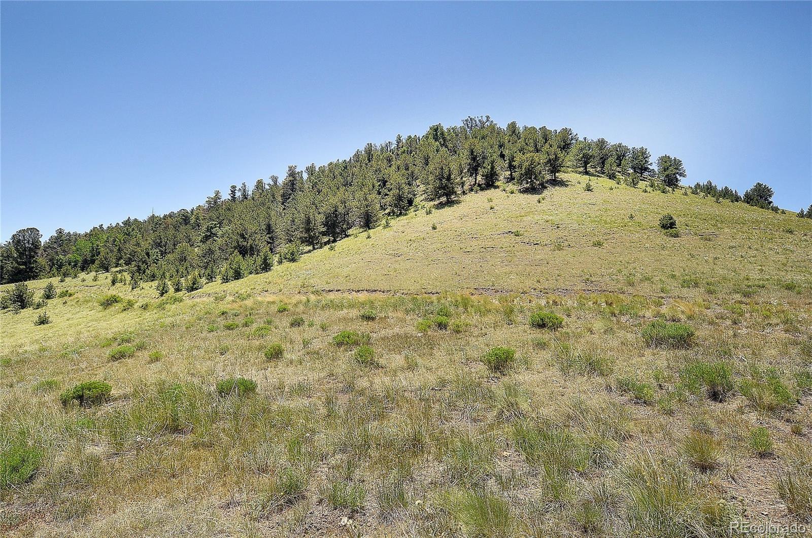 MLS Image #31 for 1194  nesterville road,cotopaxi, Colorado