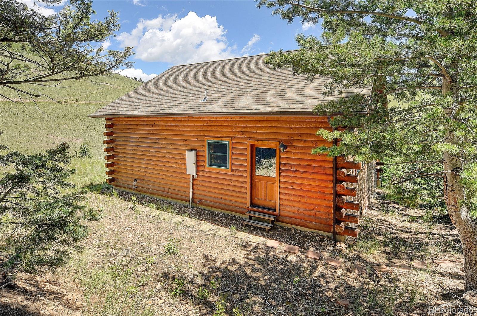 MLS Image #4 for 1194  nesterville road,cotopaxi, Colorado