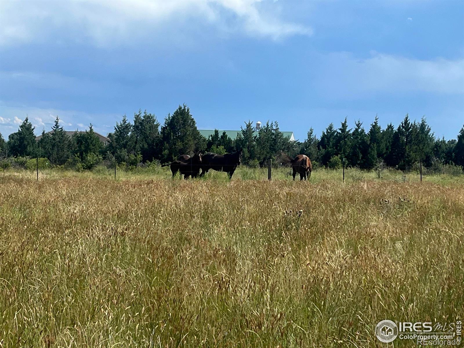 MLS Image #16 for 50285  county road 37 road,nunn, Colorado