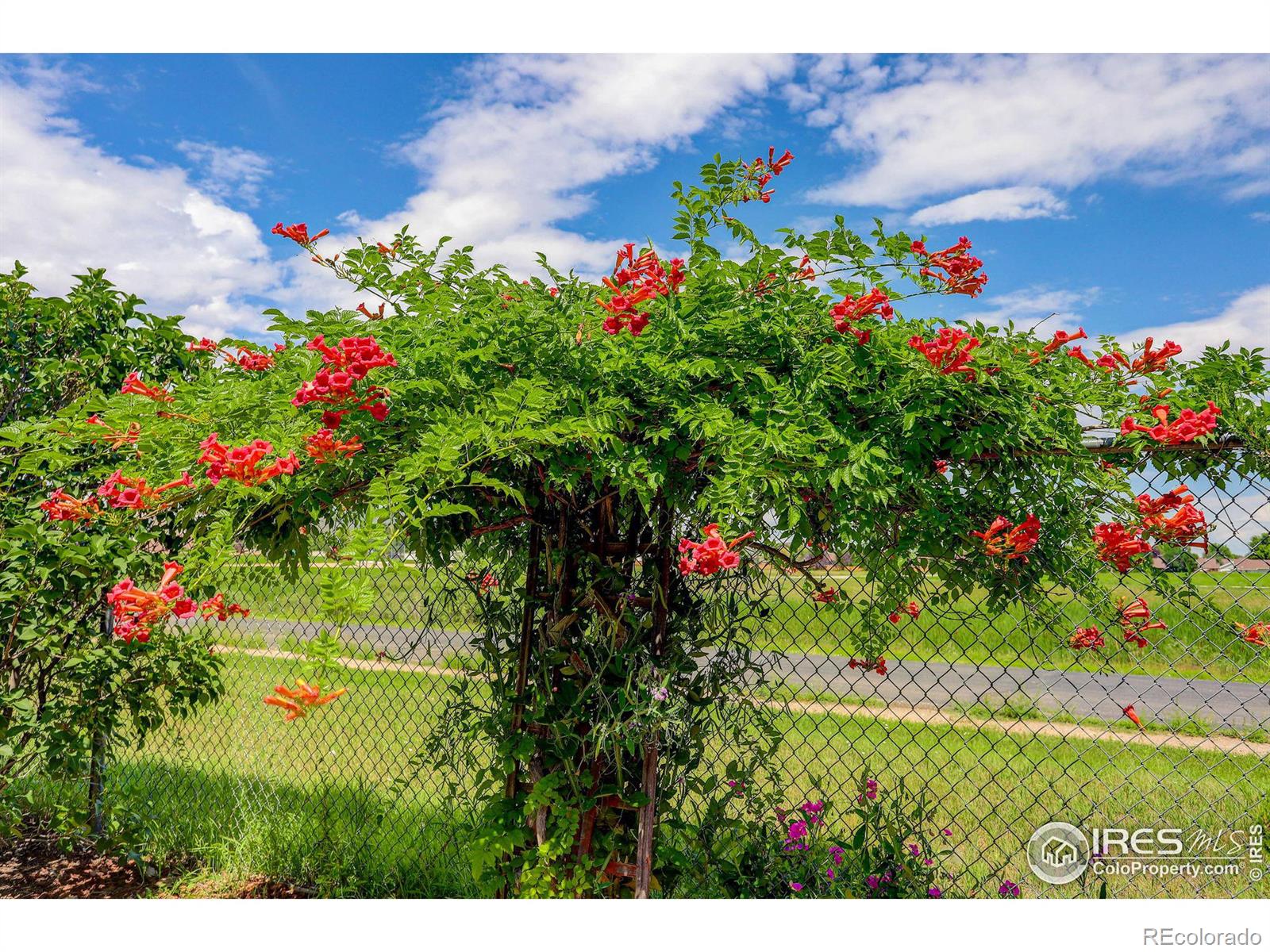 MLS Image #10 for 2289 w 46th street,loveland, Colorado