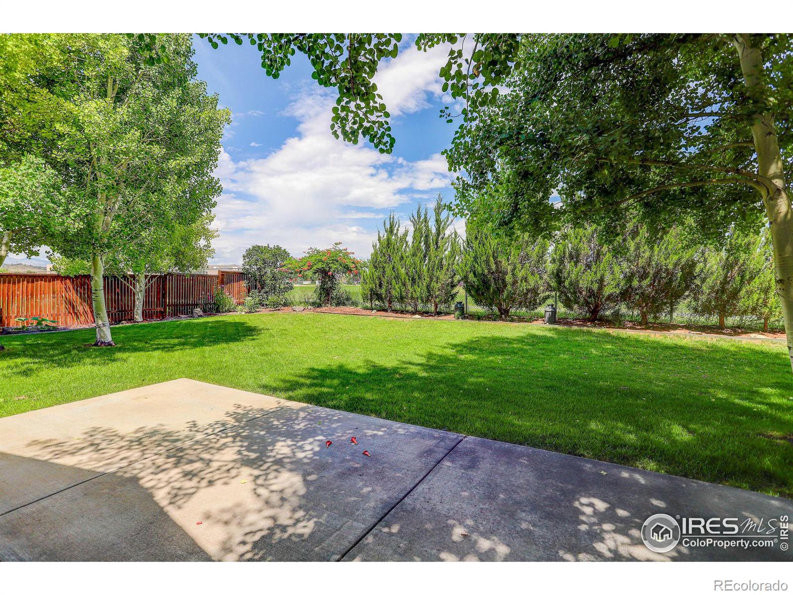 MLS Image #6 for 2289 w 46th street,loveland, Colorado