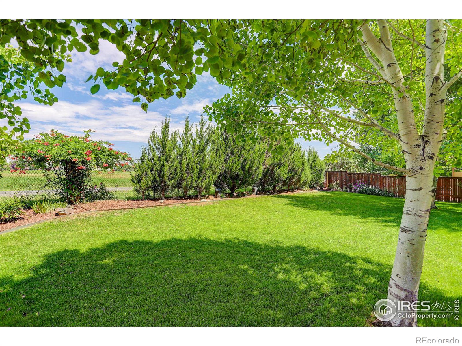 MLS Image #7 for 2289 w 46th street,loveland, Colorado