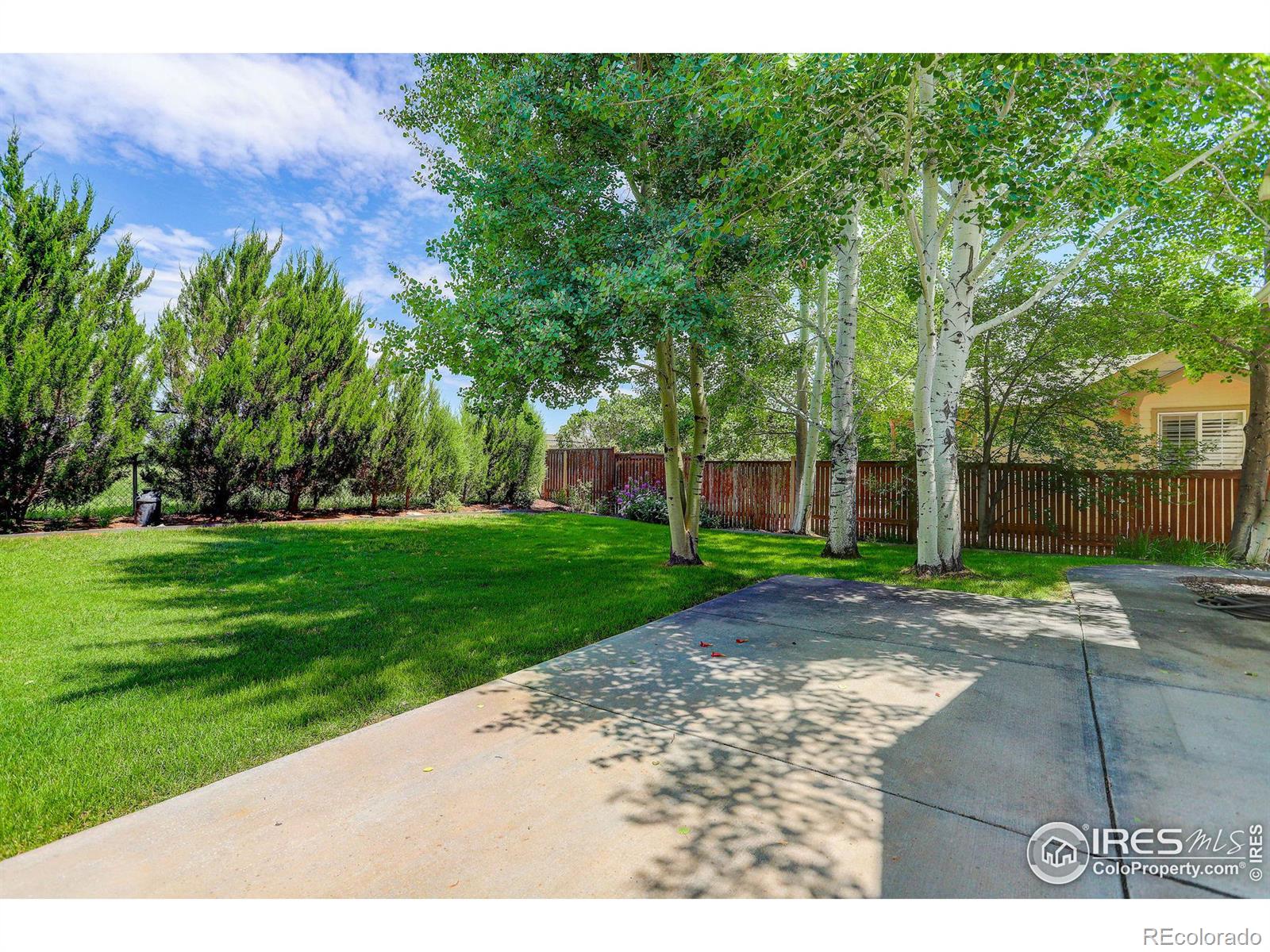 MLS Image #8 for 2289 w 46th street,loveland, Colorado