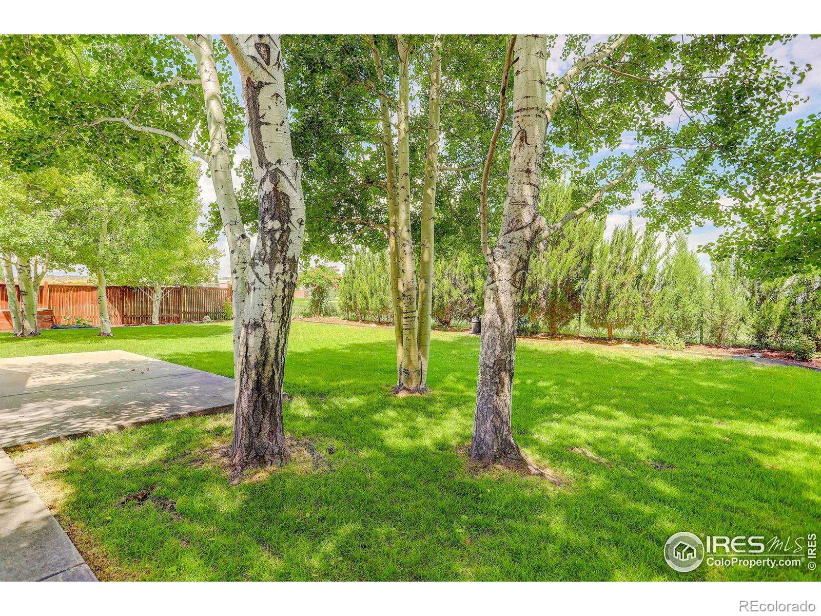 MLS Image #9 for 2289 w 46th street,loveland, Colorado