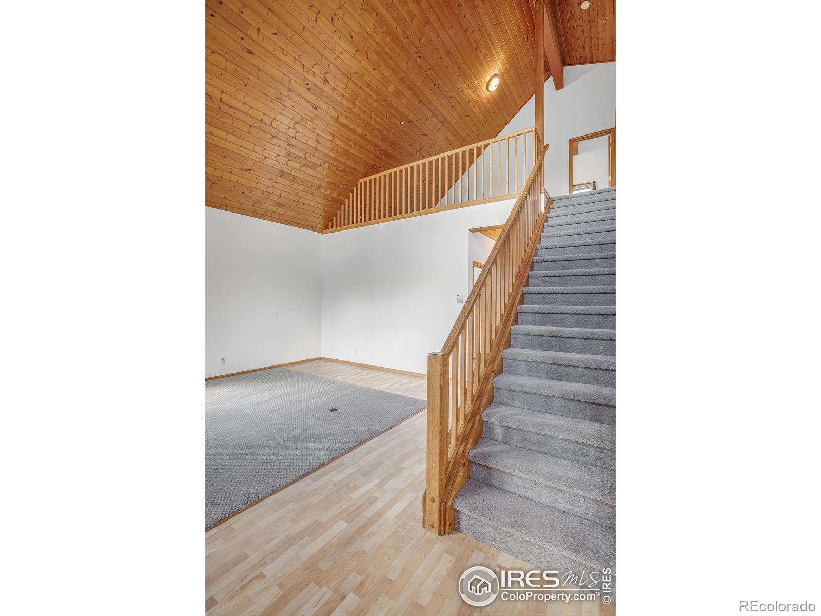 MLS Image #12 for 126  saint vrain trail,ward, Colorado