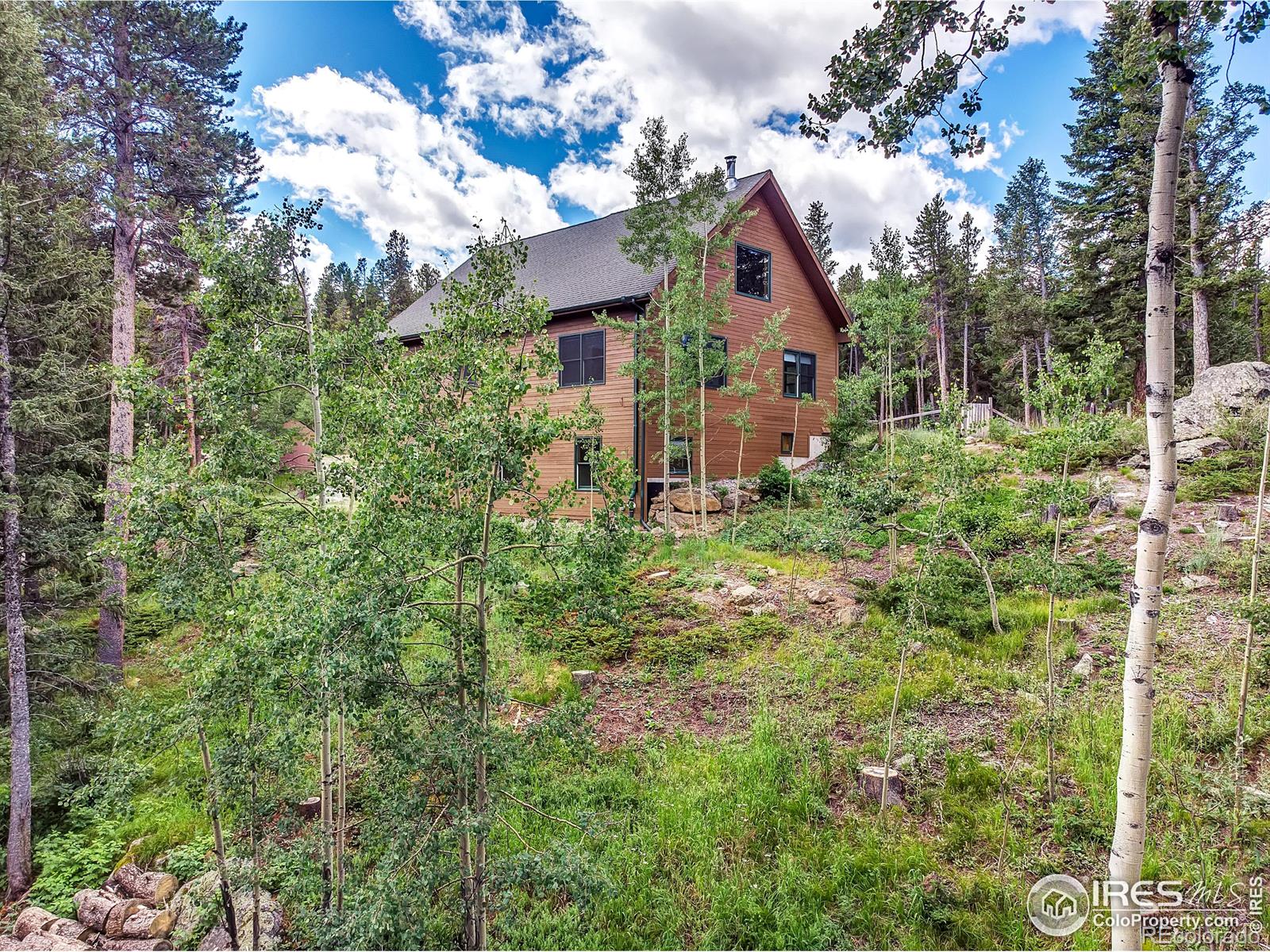 MLS Image #29 for 126  saint vrain trail,ward, Colorado