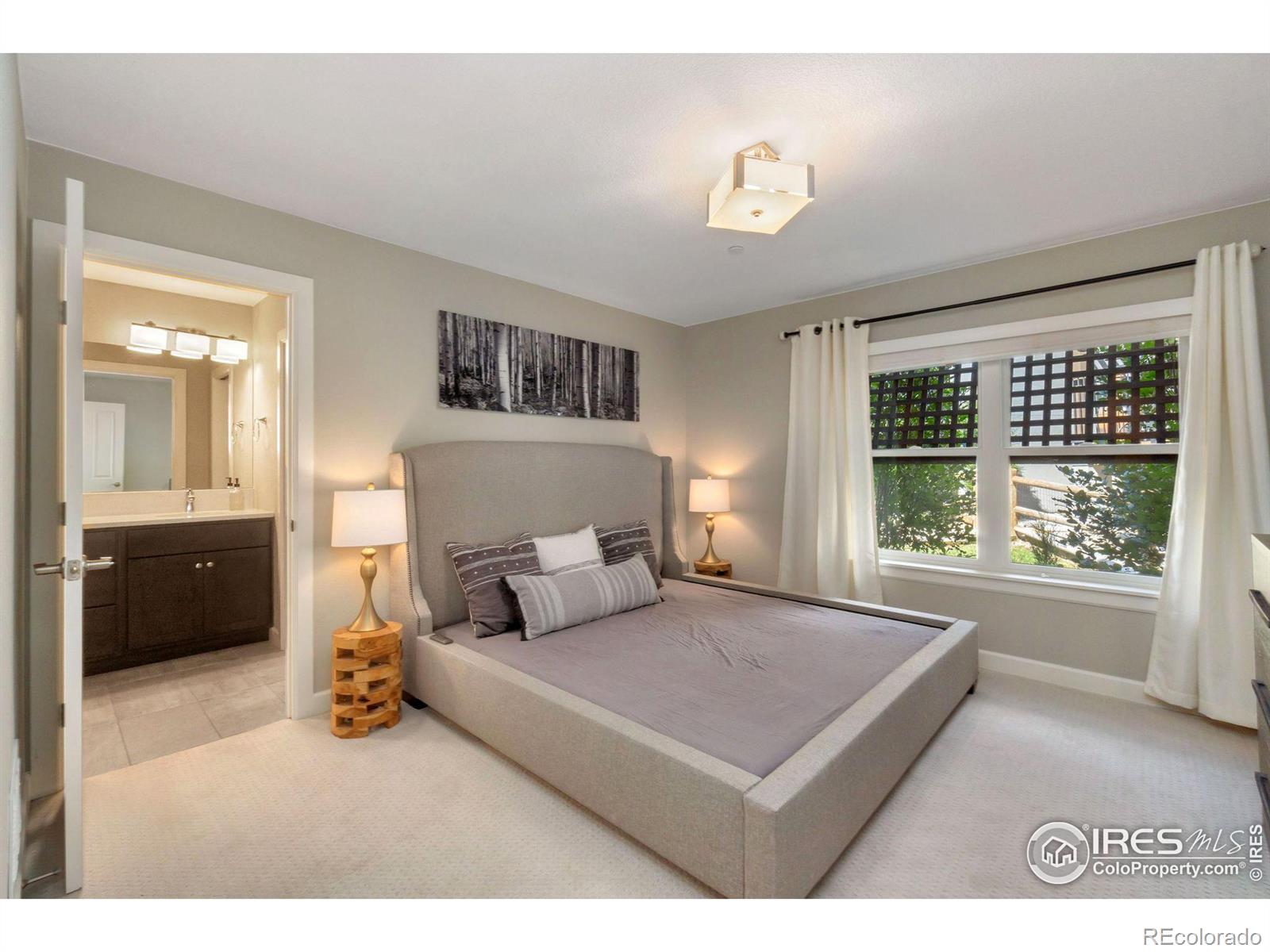 MLS Image #11 for 1030  bella vira drive,fort collins, Colorado