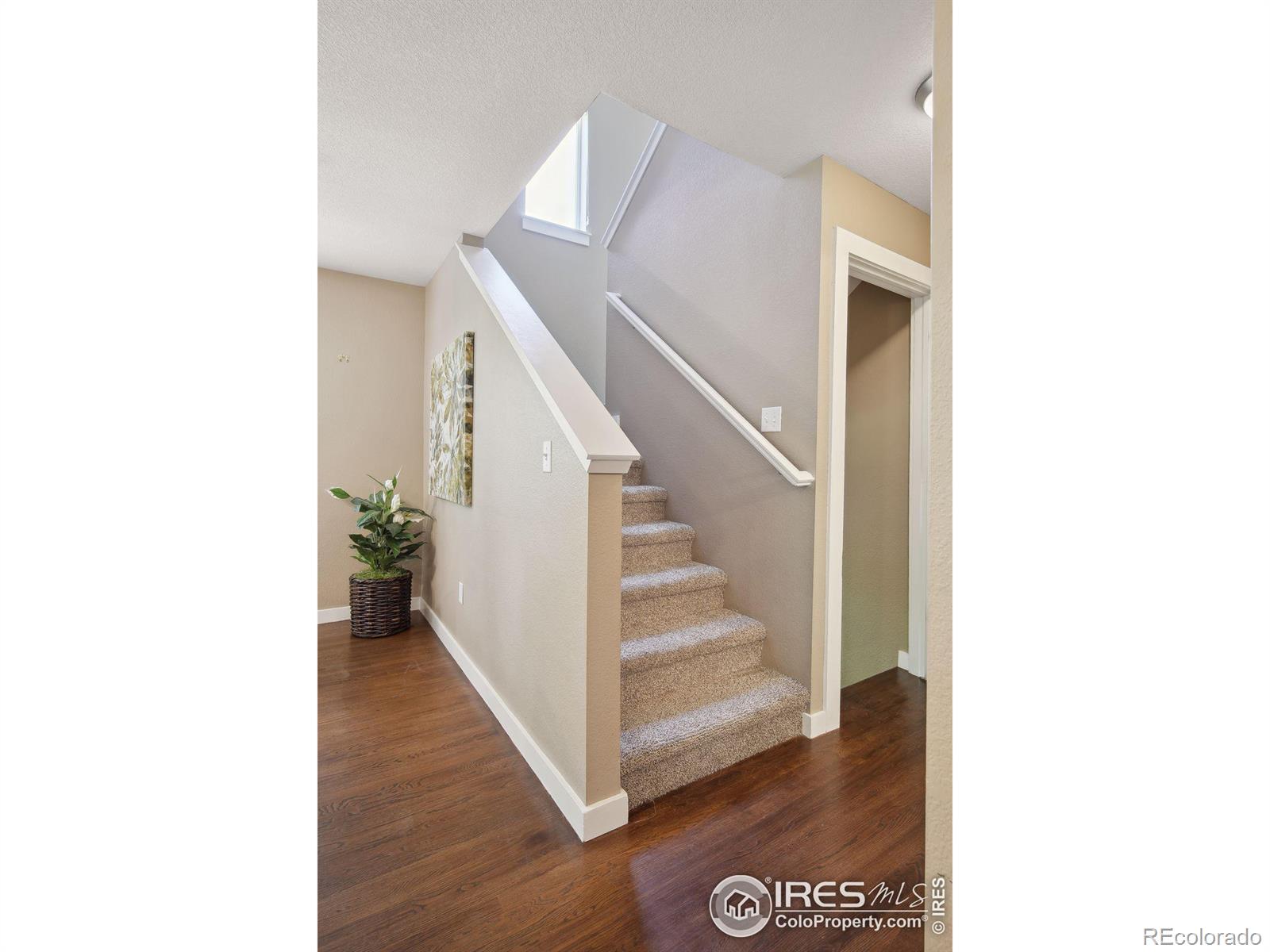 MLS Image #19 for 2697  hedgerow circle,lafayette, Colorado
