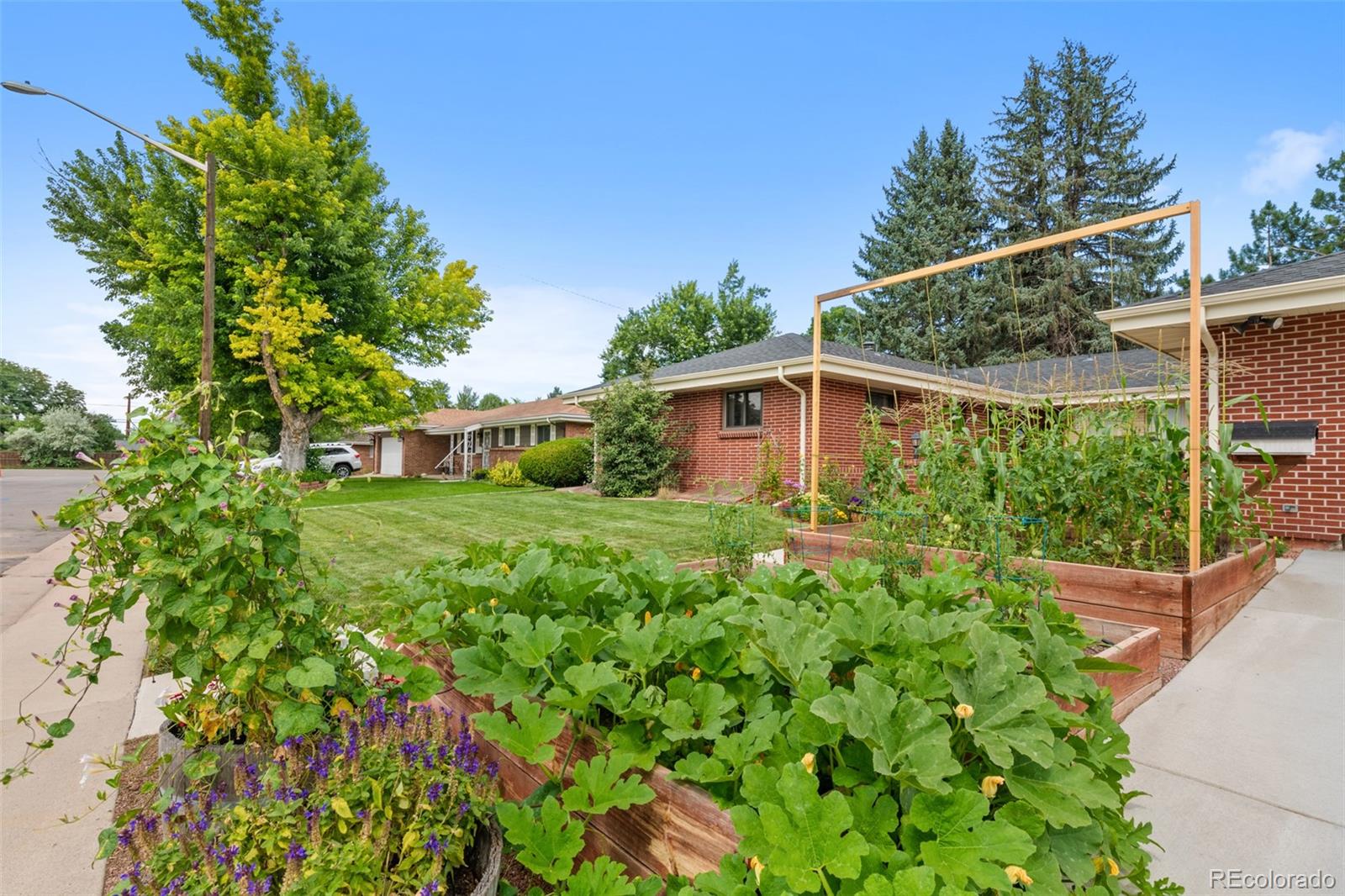 MLS Image #2 for 5924 s logan street,centennial, Colorado