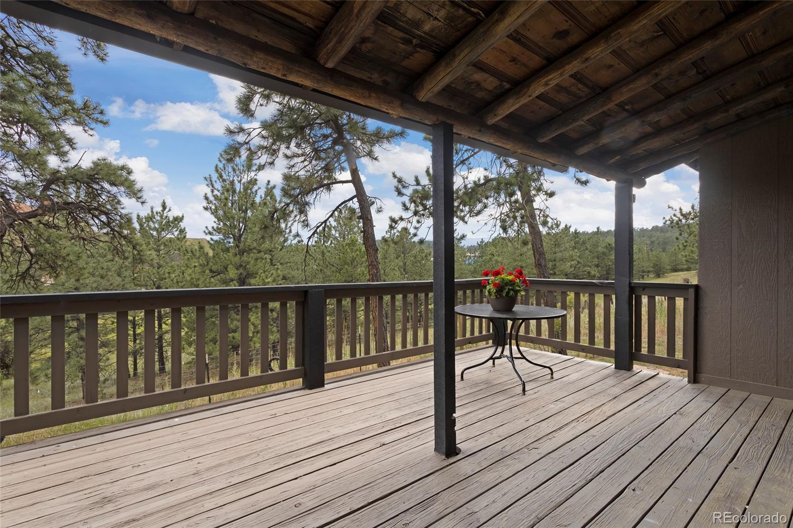 MLS Image #26 for 34200  sioux trail,pine, Colorado