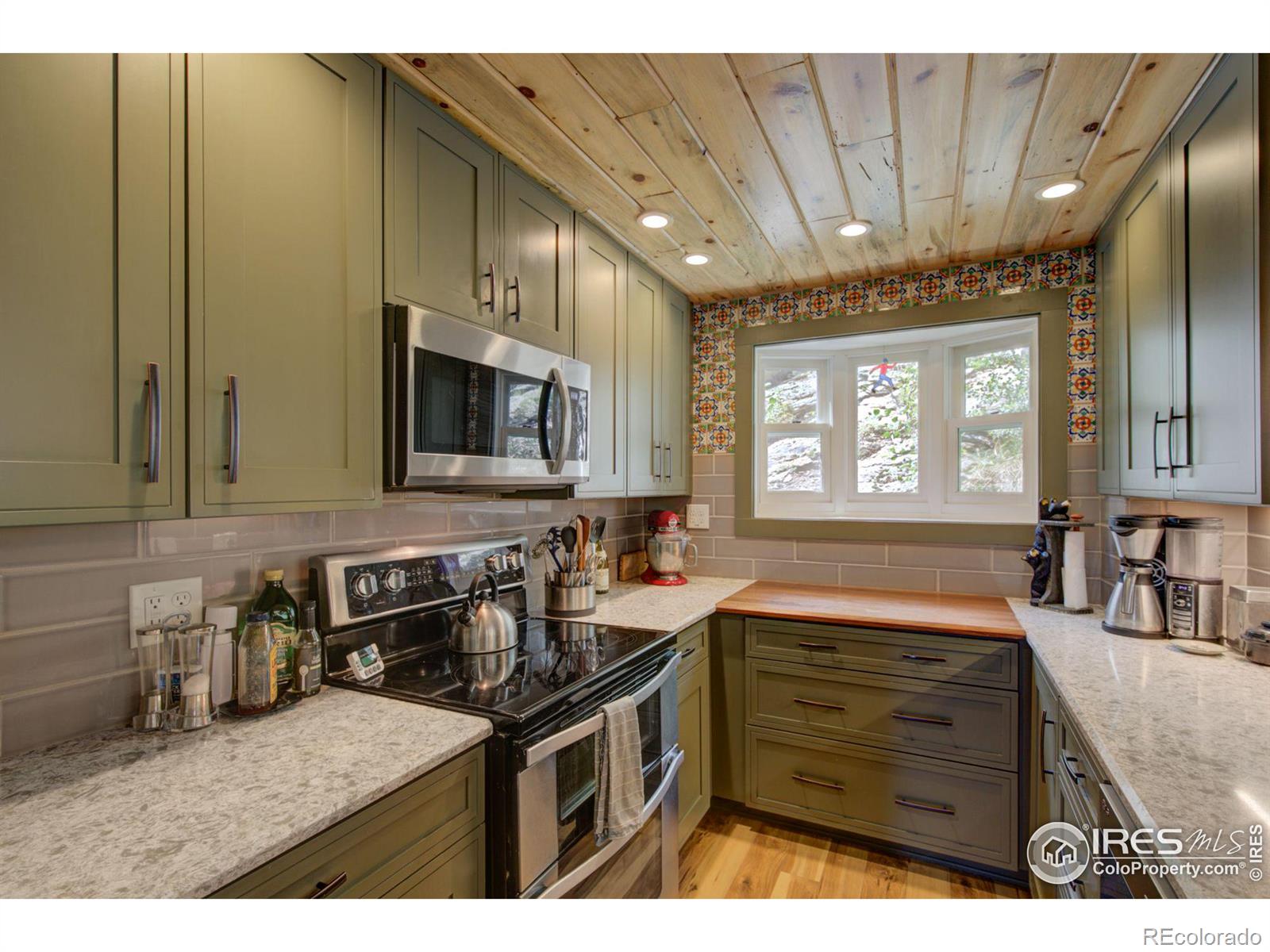 MLS Image #11 for 603 s skinner road,allenspark, Colorado