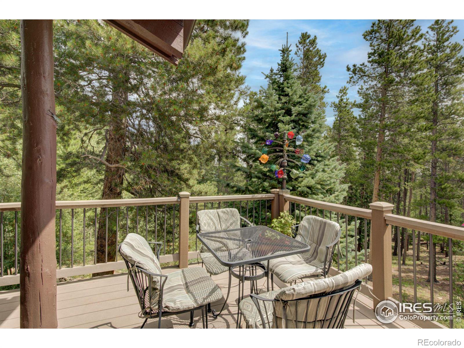 MLS Image #2 for 603 s skinner road,allenspark, Colorado