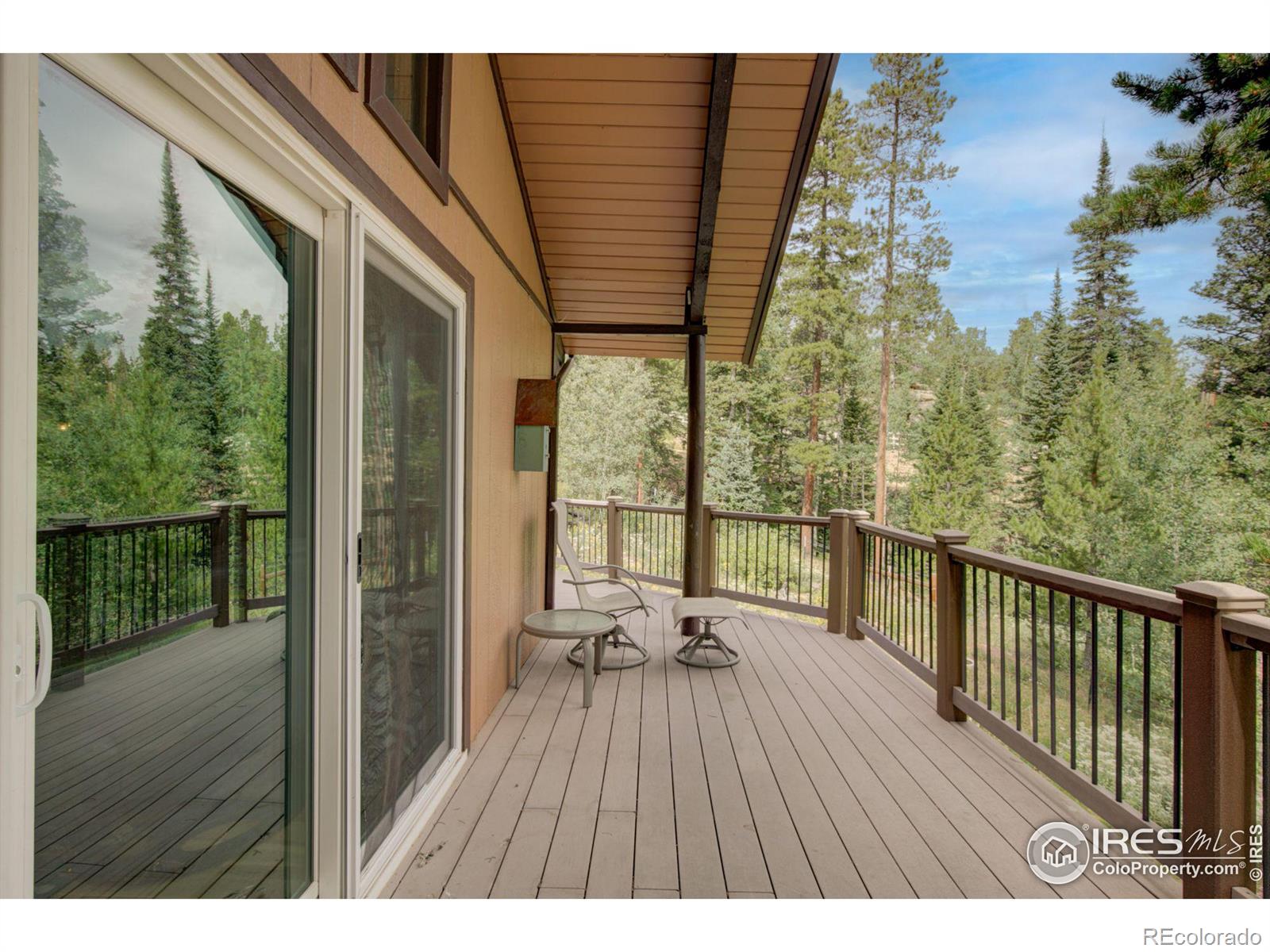 MLS Image #20 for 603 s skinner road,allenspark, Colorado