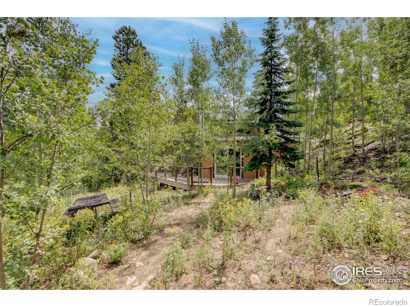 MLS Image #24 for 603 s skinner road,allenspark, Colorado