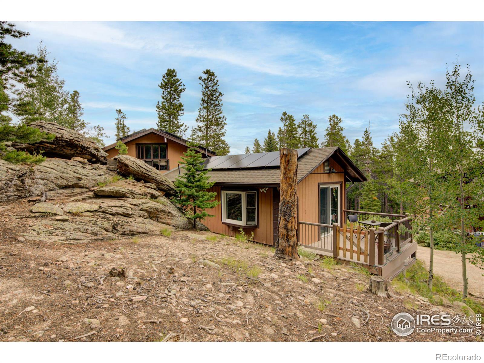 MLS Image #25 for 603 s skinner road,allenspark, Colorado