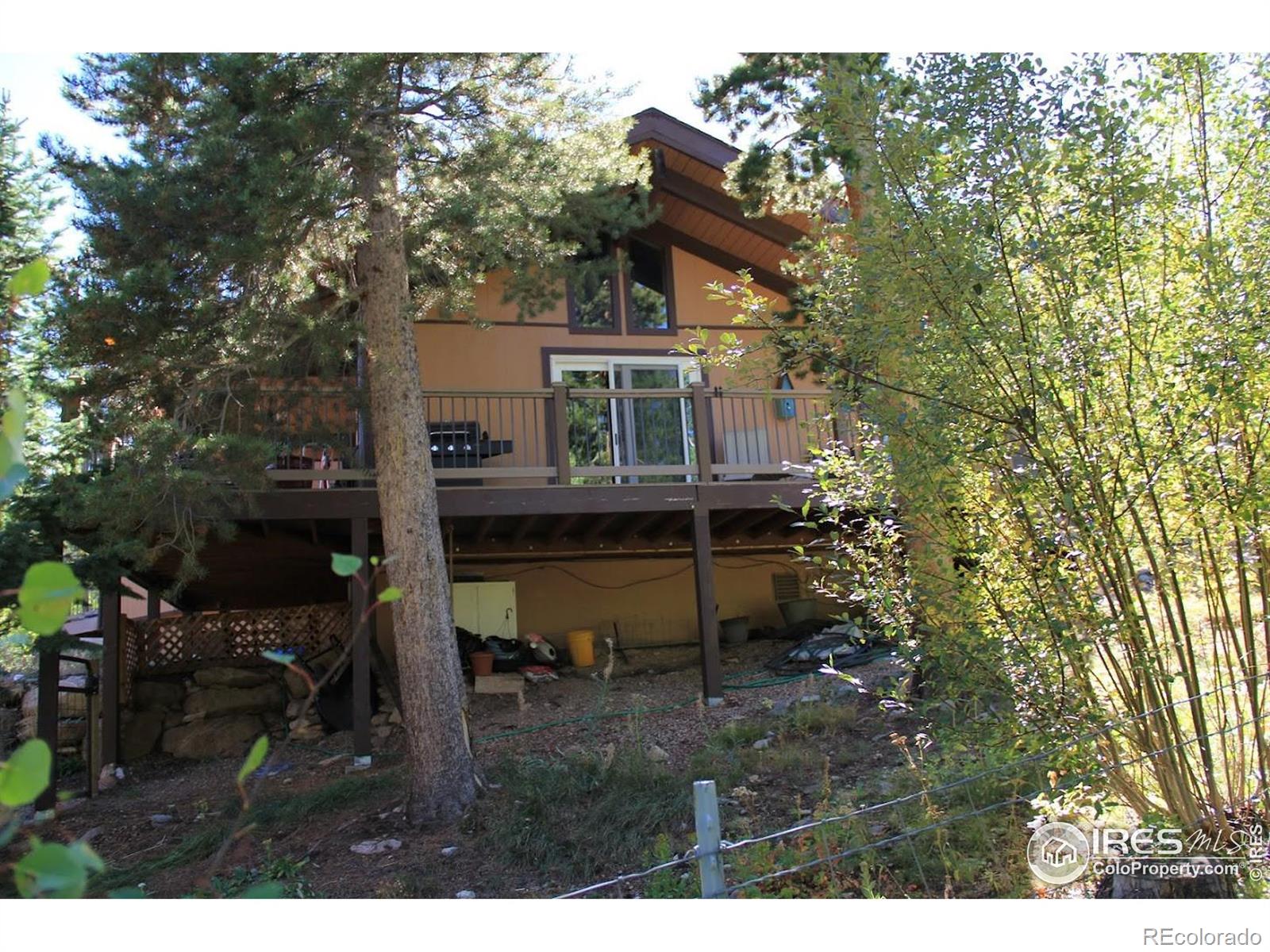 MLS Image #28 for 603 s skinner road,allenspark, Colorado