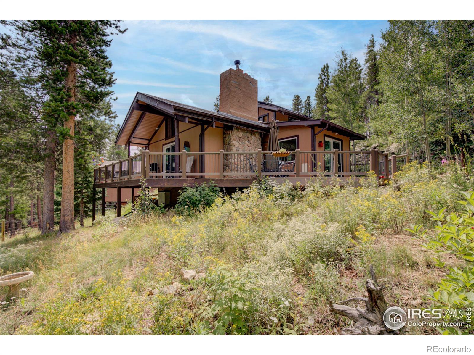 MLS Image #30 for 603 s skinner road,allenspark, Colorado