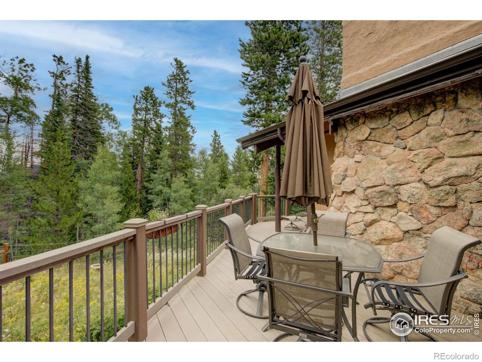 MLS Image #31 for 603 s skinner road,allenspark, Colorado