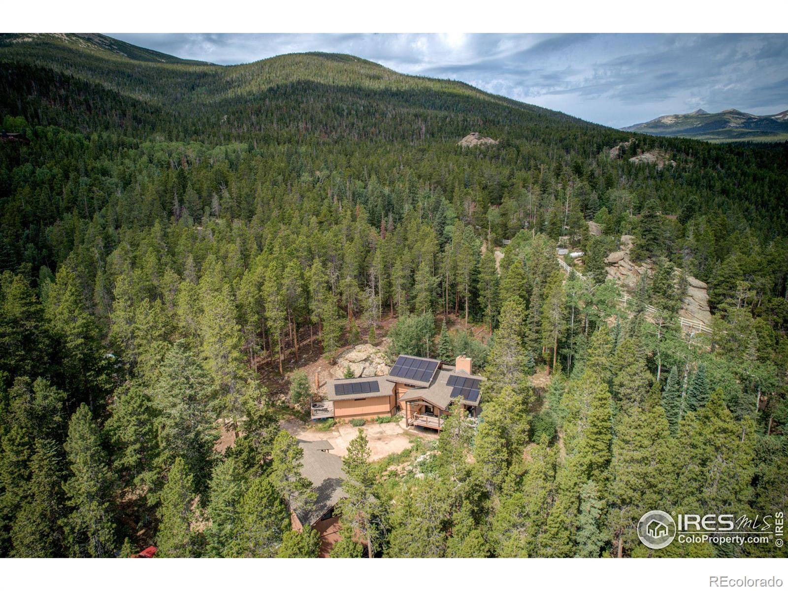 MLS Image #35 for 603 s skinner road,allenspark, Colorado