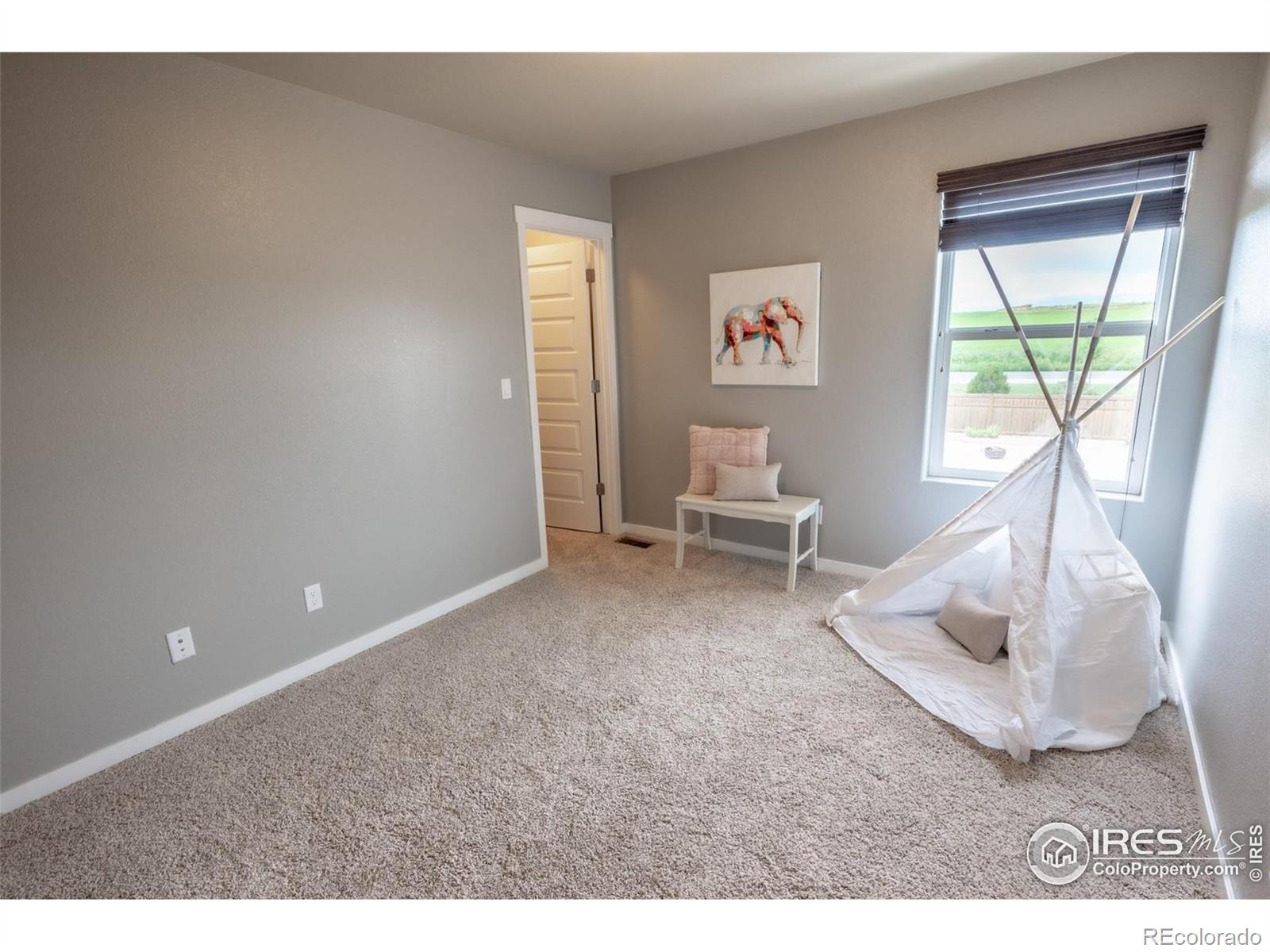 MLS Image #19 for 1559  sierra plaza street,severance, Colorado