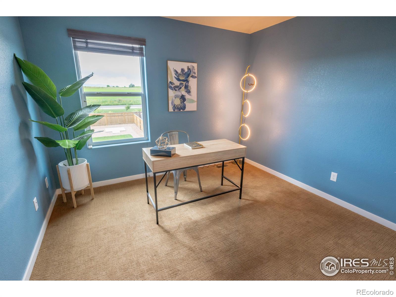 MLS Image #23 for 1559  sierra plaza street,severance, Colorado