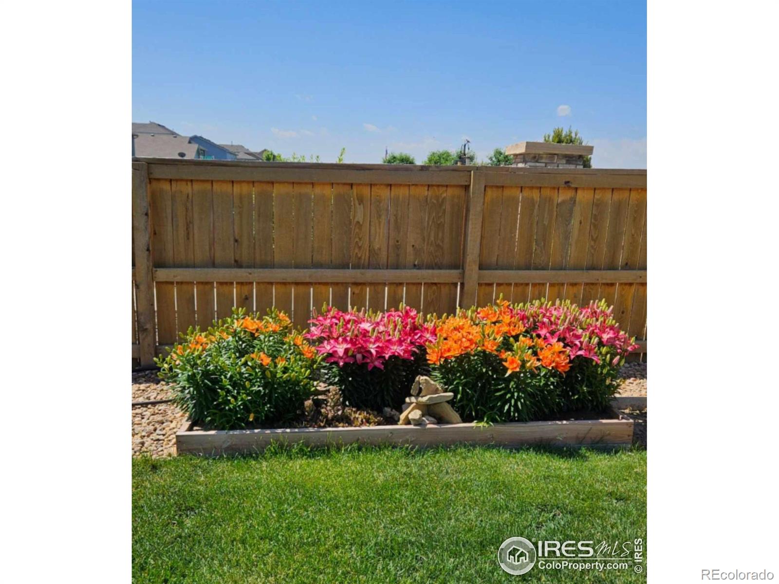 MLS Image #29 for 1559  sierra plaza street,severance, Colorado