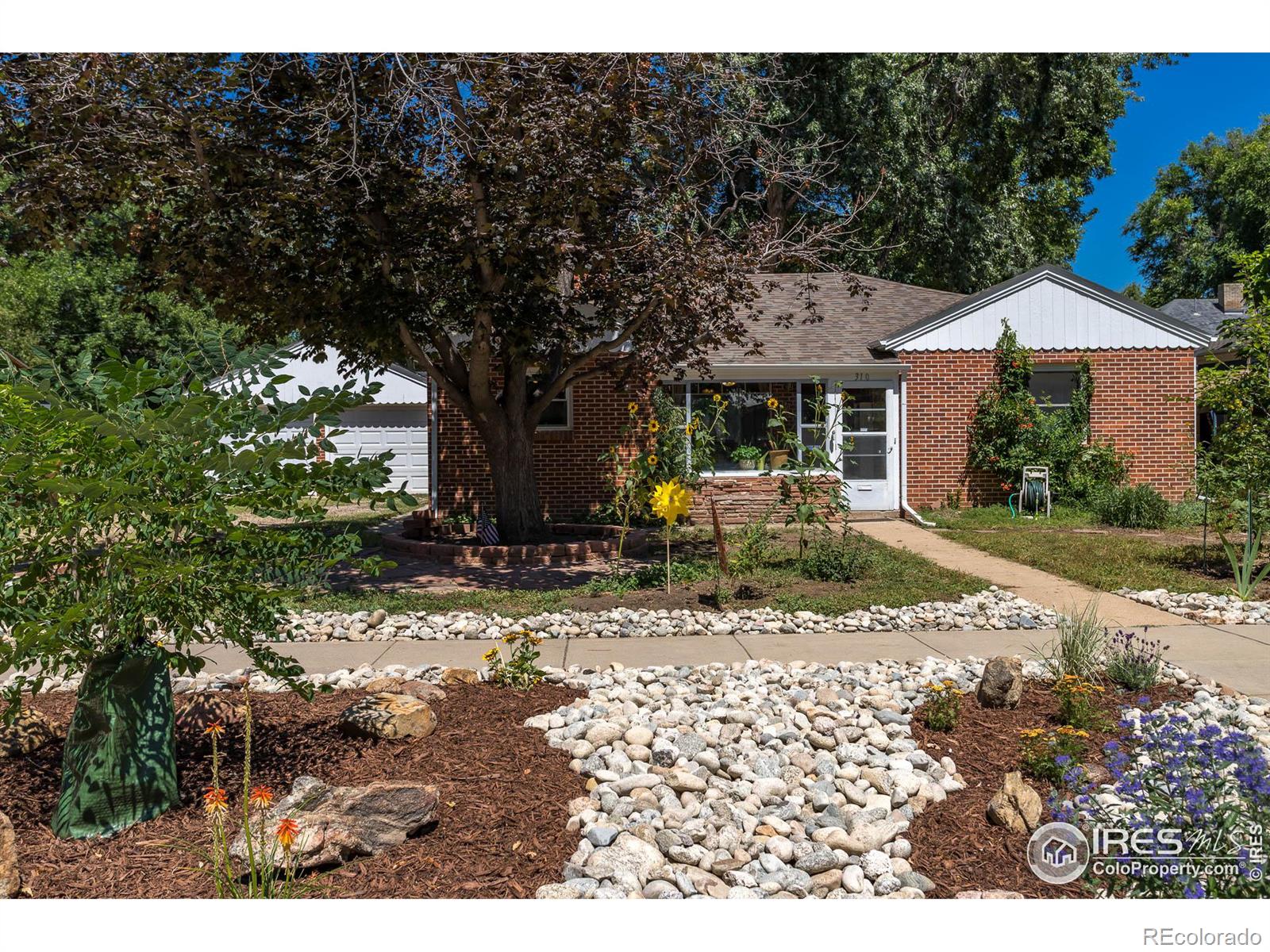 MLS Image #2 for 310  5th avenue,longmont, Colorado