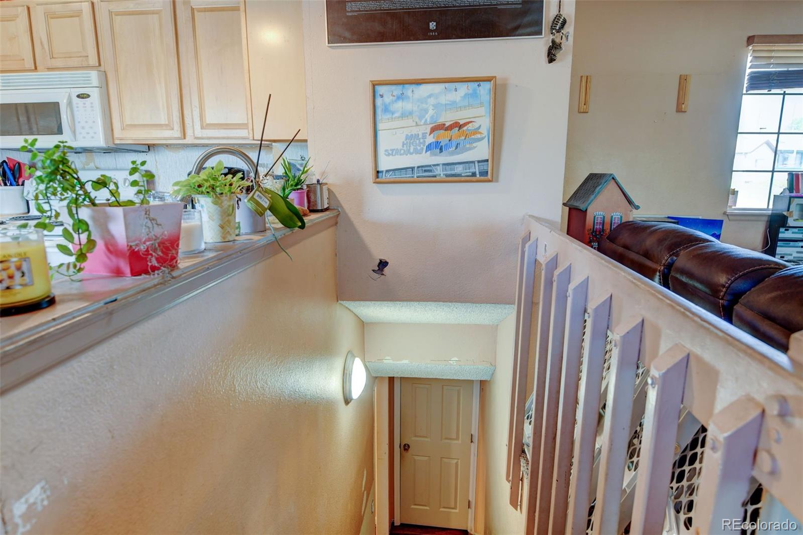 MLS Image #23 for 780  downing way,denver, Colorado